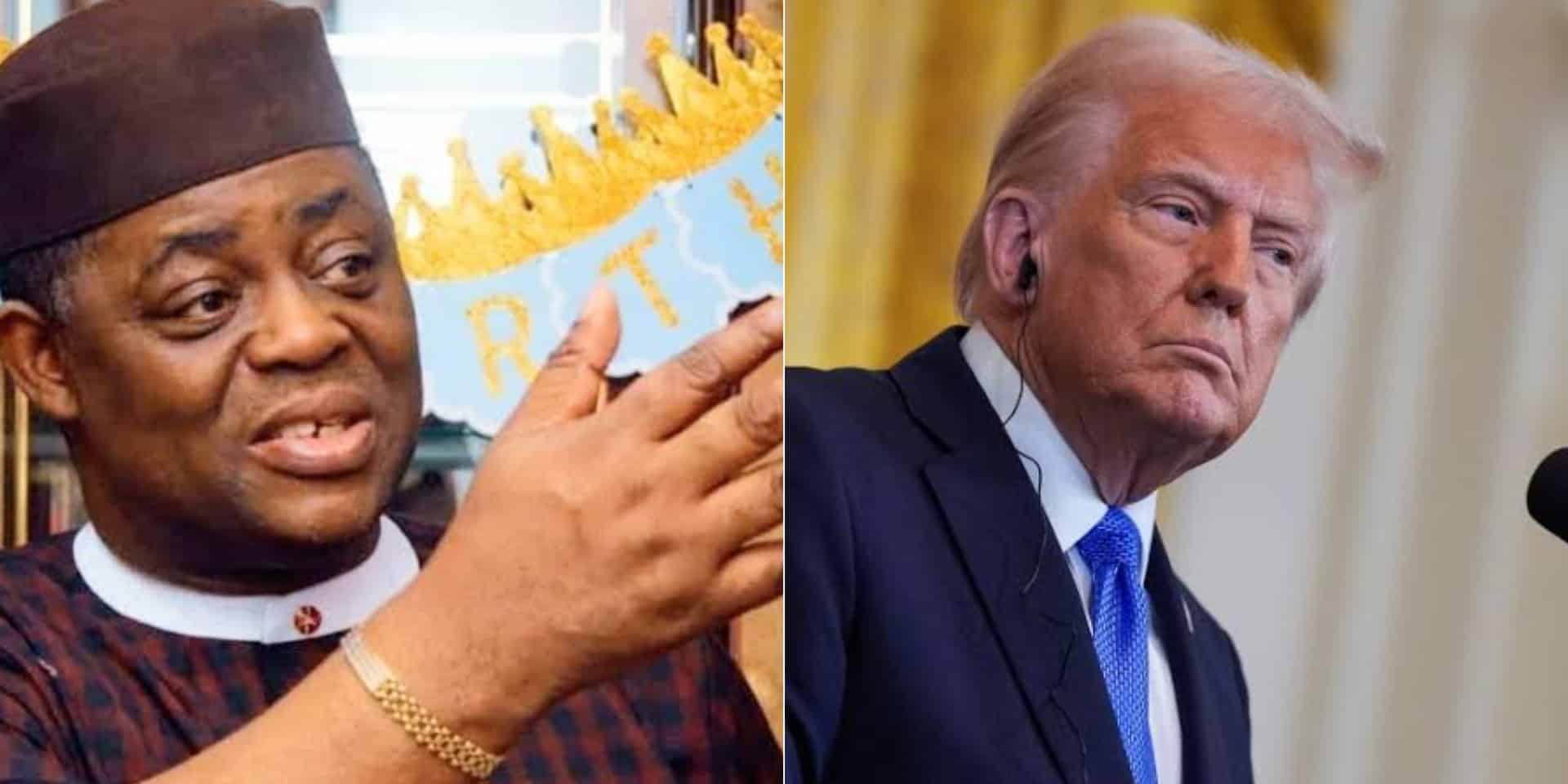 Femi Fani-Kayode blasts Donald Trump over US warning, dares him