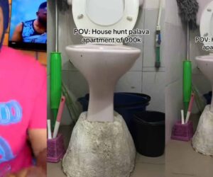 Lady baffled as she shows off unusual toilet WC she saw during house hunt