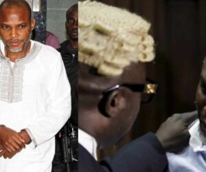 Nnamdi Kanu lawyer Ejiofor reveals next step after life sentence