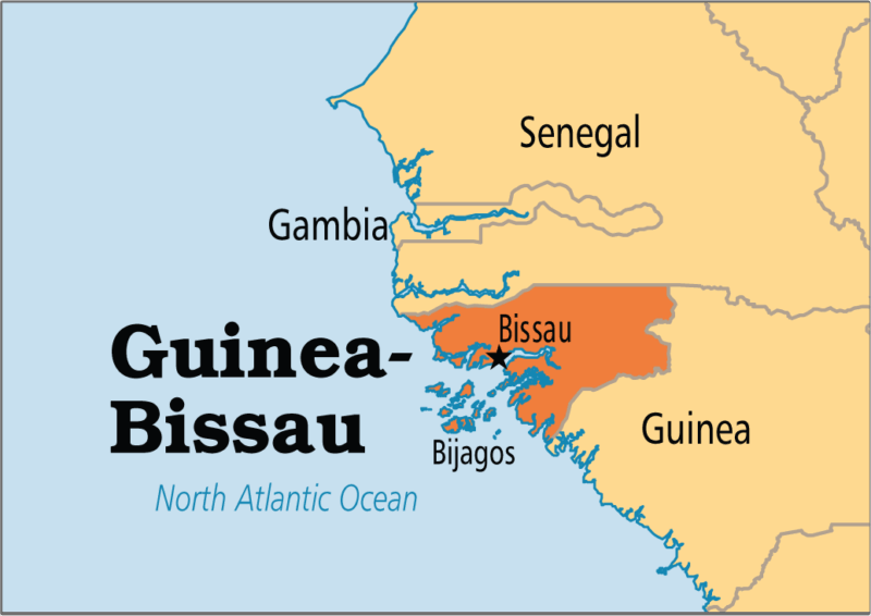 ECOWAS, AU missions condemn coup in Guinea-Bissau