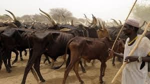 Nigerian Govt bans open grazing to end farmers-herders conflicts