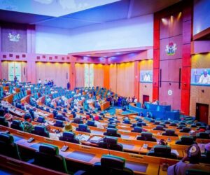 Reps’ Bill For Federal College Of Science, Health Tech In Borno Scales 3rd Reading