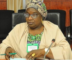 Robust LG system key to democracy — Kaduna Dep Gov