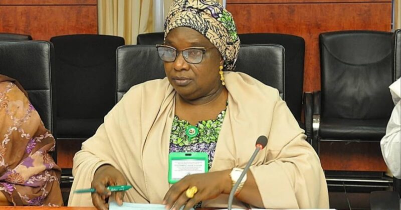 Robust LG system key to democracy — Kaduna Dep Gov