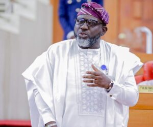 Tinubu Deserves Commendation, Not Threats – Lagos Lawmaker Faults Trump Stance On Nigeria