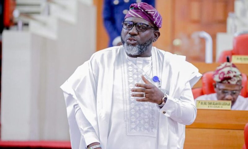 Tinubu Deserves Commendation, Not Threats – Lagos Lawmaker Faults Trump Stance On Nigeria