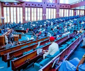 Why Tinubu Reduced Lawmakers’ N1bn Constituency Project To N500m Each — Hon. Gagdi
