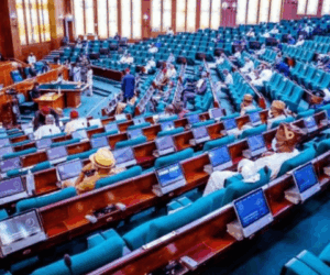 Inside the chaos that stopped debate on Trump’s threats to Nigeria at House of Reps