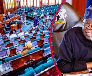 House Approves Tinubu’s ₦1.15 Trillion New Borrowing Plan – Arise News