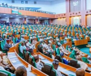 Reps Move To Empower NAFDAC To Regulate Herbal Medicine