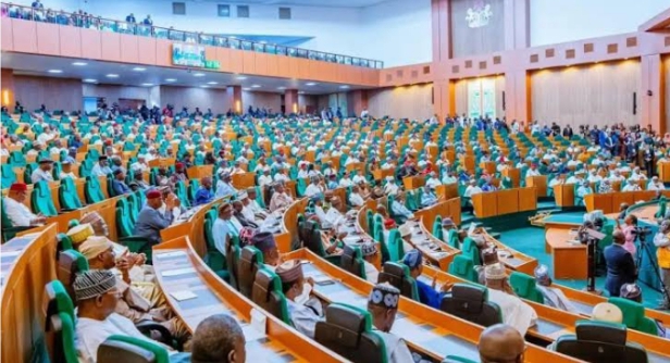 Reps Move To Empower NAFDAC To Regulate Herbal Medicine