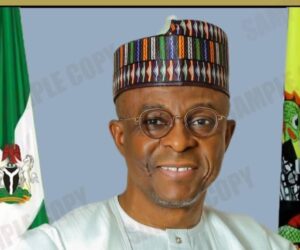 NPA MD seeks regional port cooperation for a more resilient African maritime sector