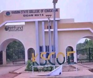 Kaduna COE Lecturers Laud Sani For Implementing New Salary Structure