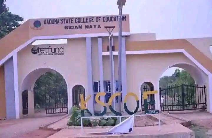 Kaduna COE Lecturers Laud Sani For Implementing New Salary Structure