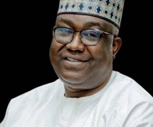 Gbenga-Hashim Vows To Defend Multiparty Democracy