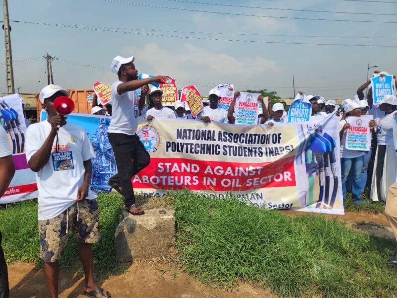 NAPS supports FG’s 15% import duty on petrol, diesel