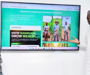 Sugar council launches SODP to boost local production, self-sufficiency