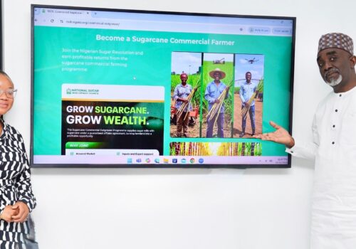 Sugar council launches SODP to boost local production, self-sufficiency