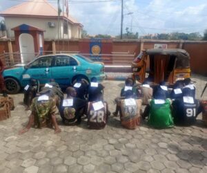 Amotekun Arrests 22 Illegal Immigrants, Other Suspects In Ondo