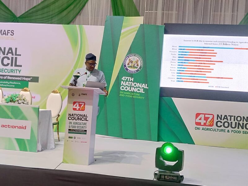 States Can Generate Additional N100bn By Investing N15bn In Agriculture