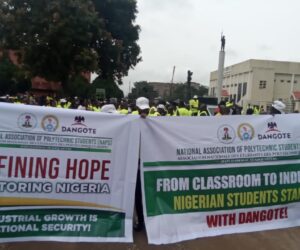 Protect Dangote Refinery As National Strategic Asset, NAPS Urges FG