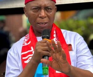 Politics Should Be An Open Table, Making Nigeria Great Priority Of Leaders – Nwoko