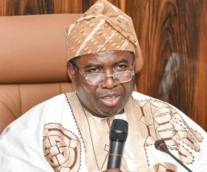 Anambra Poll: Observers, CSOs Laud INEC’s Transparency, Commend Amupitan’s Leadership, Hails Security Agencies For Professionalism Amid Violence-free Exercise