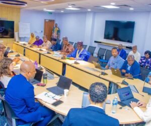 Buni, Zulum, Fintiri Meet World Bank Reps On Partnership