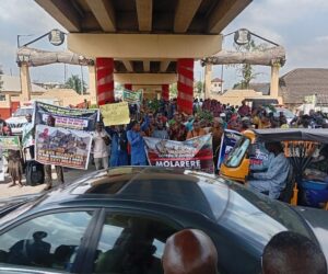 Concerned Ibadan Residents Protest Expansion Of Circular Road Project