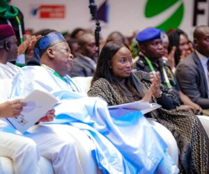 FNAC 2025: Elevating Nigerian Aviation to greater heights, by Muhammad Garba