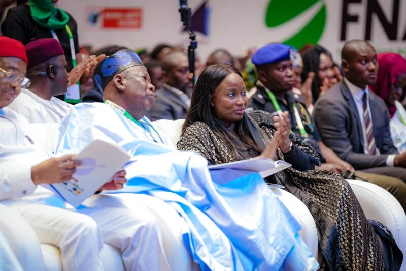 FNAC 2025: Elevating Nigerian Aviation to greater heights, by Muhammad Garba