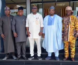 Energy Sector Gets Boost As National Assembly Vows To Curb Theft