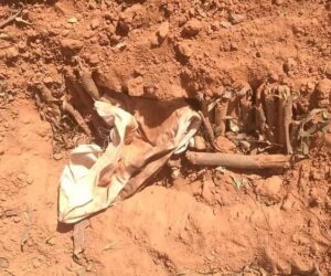 CP Orders DPOs To Arrest Grave Desecrators In Yobe