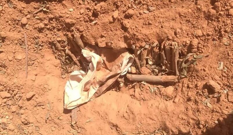 CP Orders DPOs To Arrest Grave Desecrators In Yobe