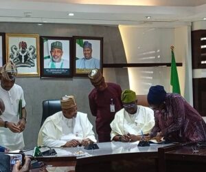 Nigeria Risks $3bn Yearly Loss Over Failure To Meet EU Deforestation Rules