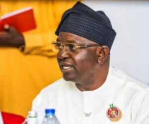 Reps Summon Water Resources Minister, Agencies Over Dadin-Kowa Hydropower Delays