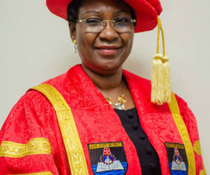 LASU VC, Olatunji-Bello, Appointed To Board Of NgREN/TERAS Integration