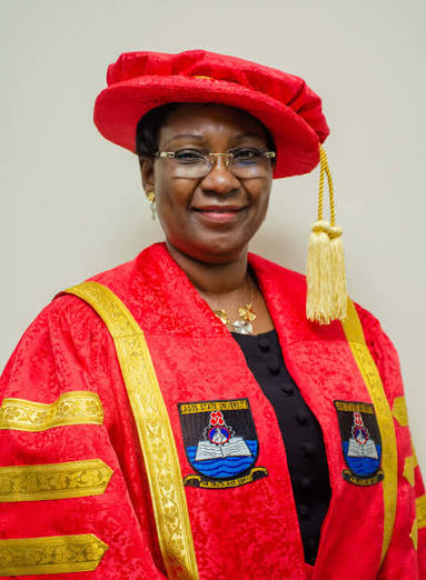 LASU VC, Olatunji-Bello, Appointed To Board Of NgREN/TERAS Integration