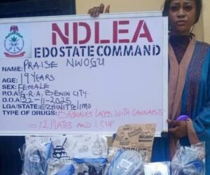 NDLEA arrests influencer over online sale of cannabis-laden cookies