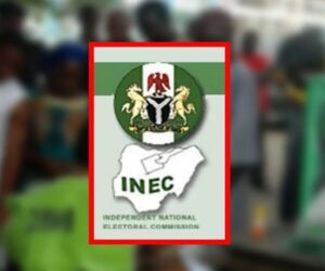 ‘Old INEC’ will conduct Anambra election despite leadership change – Group