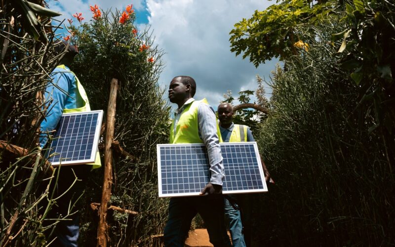 Ignite Energy Access Nigeria Empowers 34 Schools with Solar Systems in Rural Nigeria | Tech | Business