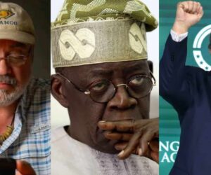Trump’s intervention may require dismantling Tinubu’s govt – Ex-U.S. mayor warns
