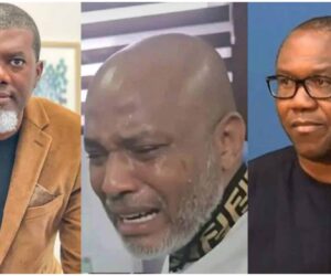 2027: If you vote for Peter Obi, you’re voting for Nnamdi Kanu’s presidential pardon