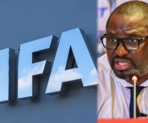 FIFA clears three Europe-born players for DR Congo vs Nigeria