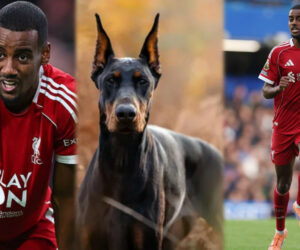 Liverpool star Alexander Isak buys Â£30k Guard Dog after receiving death threats