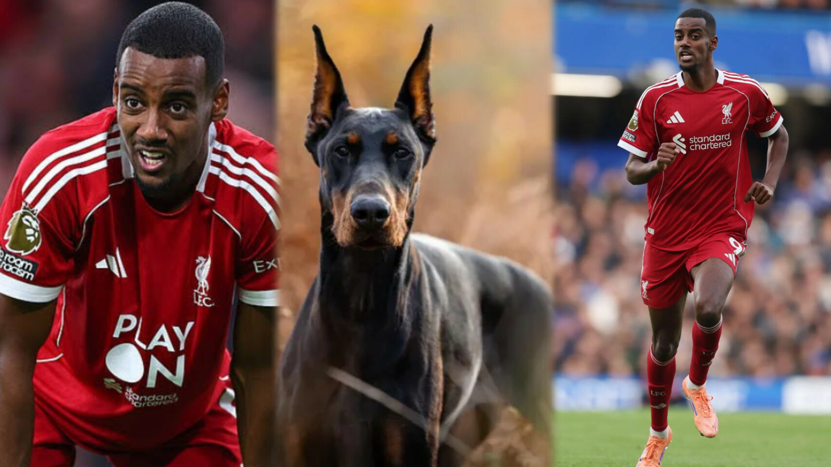 Liverpool star Alexander Isak buys Â£30k Guard Dog after receiving death threats