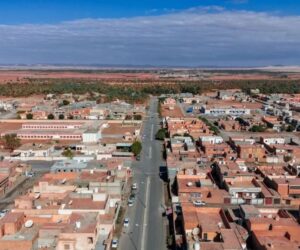 What African founders are missing