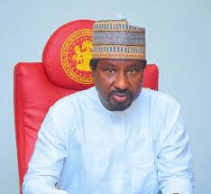 How North can overcome insecurity, other challenges — Deputy Senate President