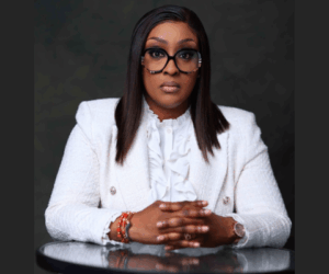 NDPHC urges industrial firms to explore direct power supply scheme