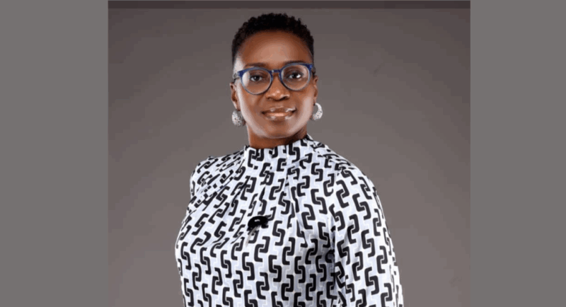 JV Management Consulting Introduces JVPerformX, an AI-Native HRMS Designed for Africa | Tech | Business